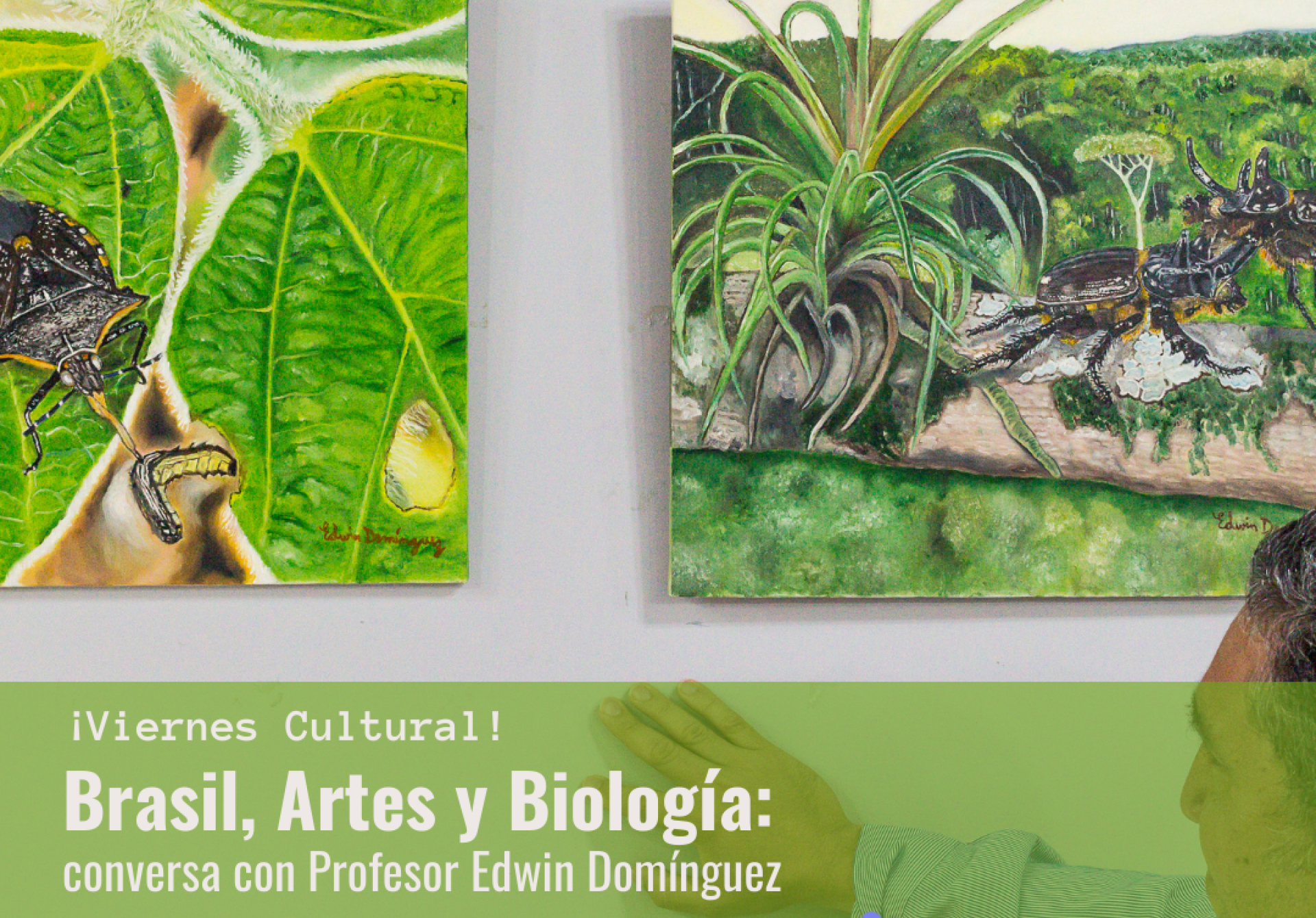 Brasil, Artes y Biología: conversa con Edwin Domínguez